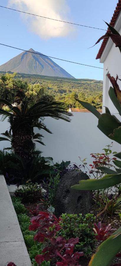 Casa Da Avo Biza Βίλα São Roque do Pico Εξωτερικό φωτογραφία