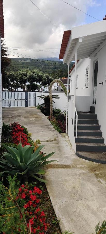 Casa Da Avo Biza Βίλα São Roque do Pico Εξωτερικό φωτογραφία